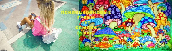 Альфа ПВП Алексин