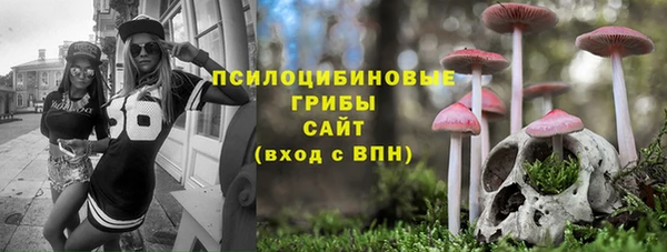 Альфа ПВП Алексин