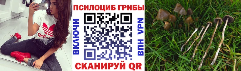 наркота  блэк спрут   Галлюциногенные грибы ЛСД  Игра 